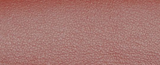 TABBY 經典 SIGNATURE 帆布鏈帶手拿包