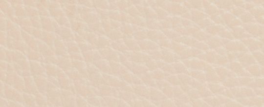 COACH X PEANUTS CANTEEN CROSSBODY WITH SNOOPY CUDDLE MOTIF