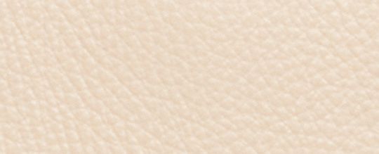 COACH X PEANUTS DEMPSEY TOTE 22 WITH SNOOPY AND FRIENDS MOTIF