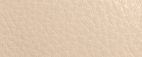 COACH X PEANUTS NOLITA 19 WITH SNOOPY AND FRIENDS MOTIF