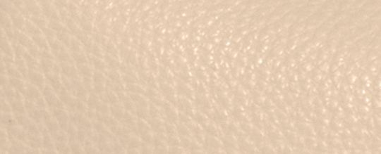 COACH X PEANUTS TERI SHOULDER BAG WITH SNOOPY AND FRIENDS MOTIF