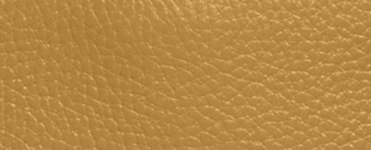 COACH X PEANUTS DEMPSEY TOTE 22 WITH SNOOPY PRESENT MOTIF