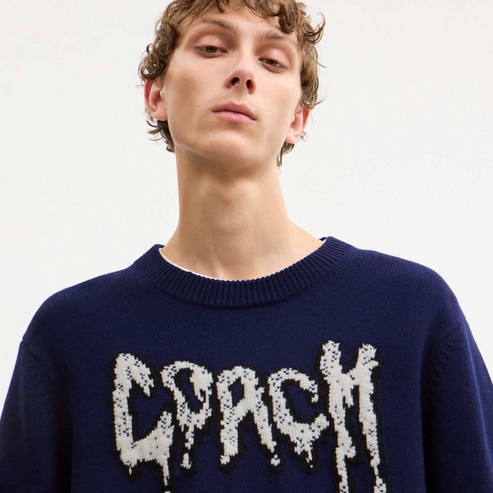 GRAPHIC SWEATER