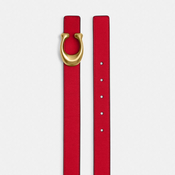 SCULPTED C 針釦雙面皮帶，25MM