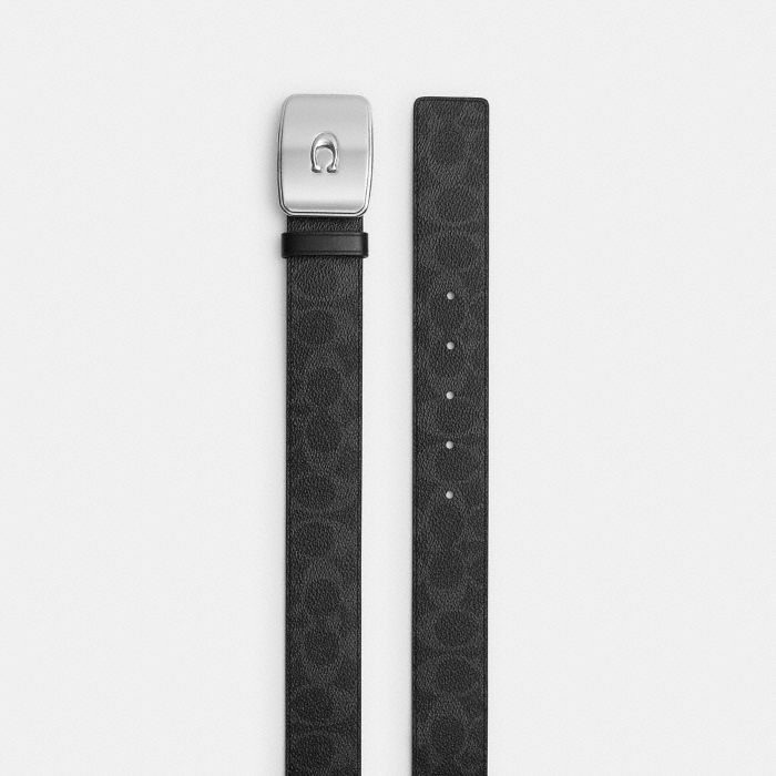 PLAQUE 針釦皮帶，38MM