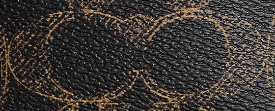 SLIM ID CARD CASE IN LOVED SIGNATURE CANVAS