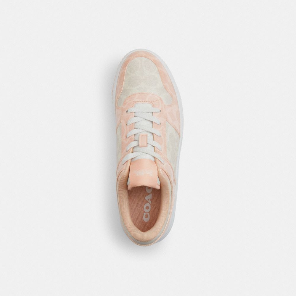 PLATFORM SNEAKER IN SIGNATURE CANVAS