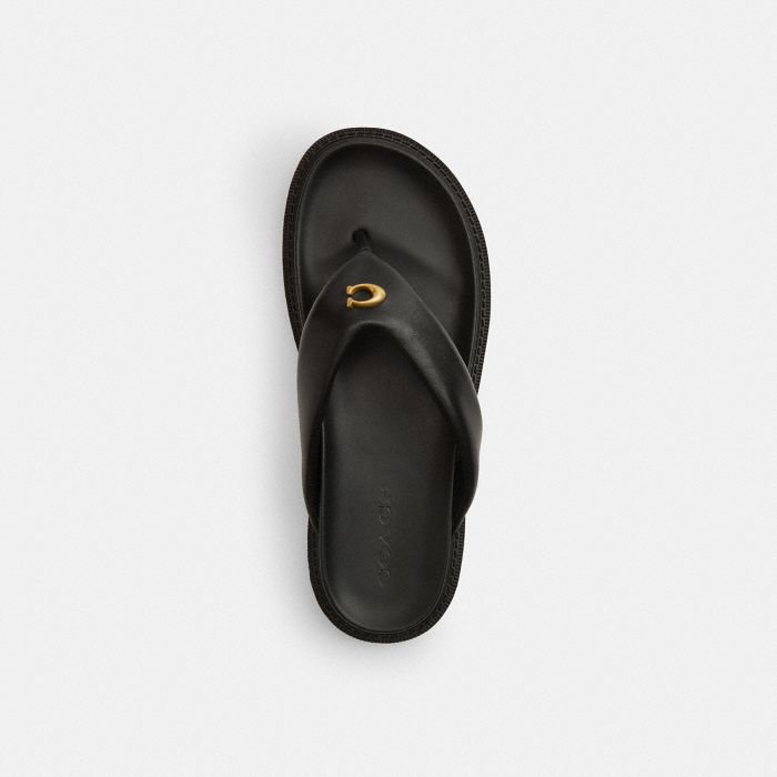 BRYNN 人字拖涼鞋