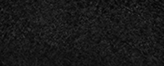 經典 SIGNATURE 尼龍休閒鞋