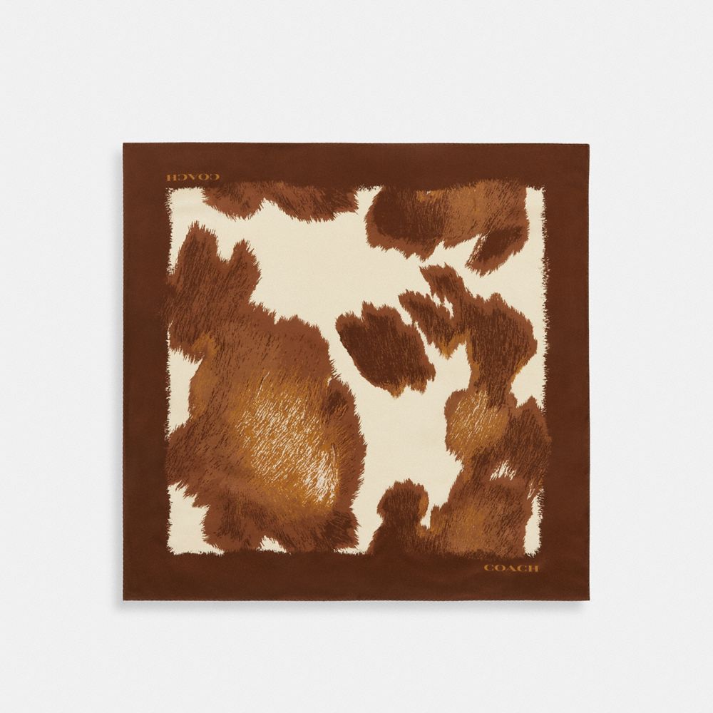 바디 메인컬러: 탠