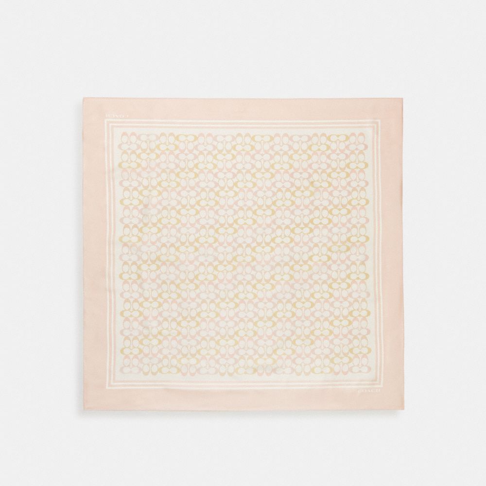 메인컬러: 초크, 핑크