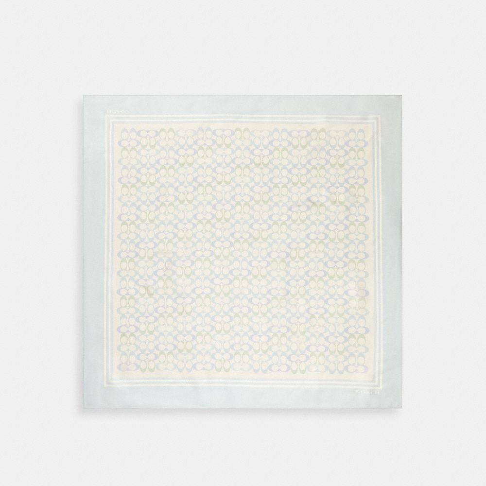 하드웨어: 초크 / 바디 메인컬러: 블루,