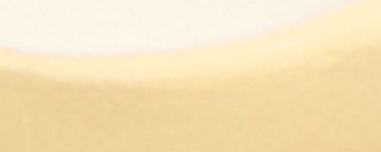 經典 SIGNATURE 茶玫瑰掛飾手鏈