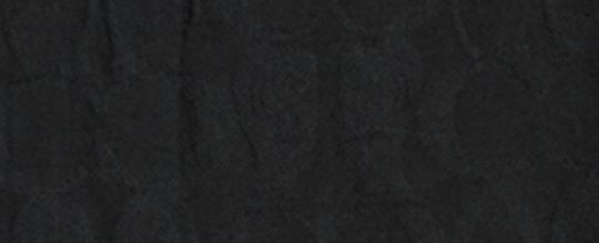 COACH | BRAIN DEAD 經典 SIGNATURE 戶外襯衫