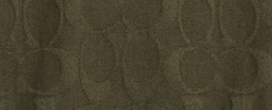 COACH | BRAIN DEAD 經典 SIGNATURE 戶外襯衫