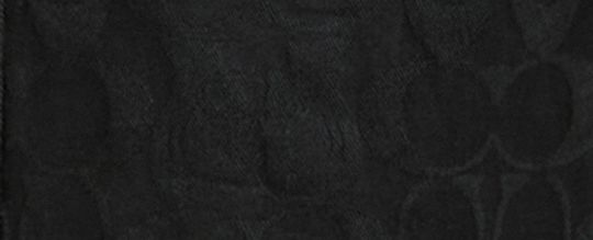 COACH | BRAIN DEAD 經典 SIGNATURE 戶外短褲