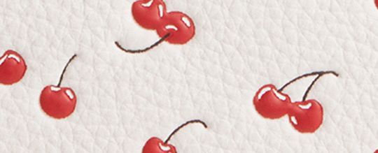 CORNER ZIP WRISTLET WITH CHERRY PRINT