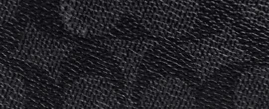 CHARTER 24 經典 SIGNATURE 帆布與 REXY 恐龍斜背手袋