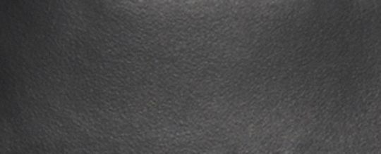 FIELD 40 經典 SIGNATURE 帆布與 REXY 恐龍托特手袋