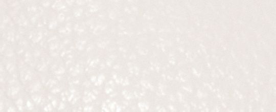 CIRCULAR COIN POUCH WITH COACH STAMP