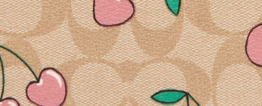 LAPTOP SLEEVE IN SIGNATURE CANVAS WITH HEART CHERRY PRINT