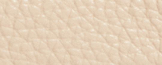 COACH X PEANUTS CORNER ZIP WRISTLET WITH SNOOPY AND FRIENDS MOTIF