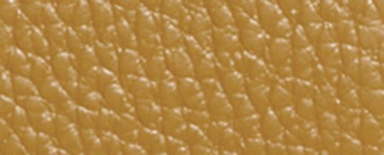 COACH X PEANUTS CORNER ZIP WRISTLET WITH SNOOPY PRESENT MOTIF