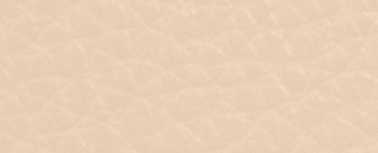 COACH X PEANUTS LONG ZIP AROUND WALLET WITH SNOOPY AND FRIENDS MOTIF