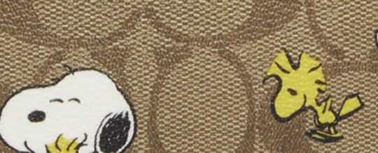 COACH X PEANUTS MINI JAMIE CAMERA BAG IN SIGNATURE CANVAS WITH SNOOPY WOODSTOCK PRINT