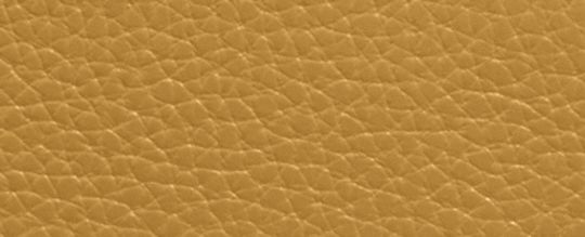 COACH X PEANUTS CANTEEN CROSSBODY WITH SNOOPY PRESENT MOTIF