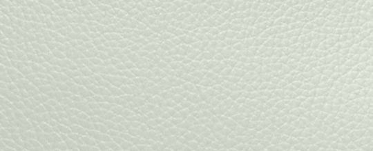 MOLLIE TOTE 25 WITH SIGNATURE CANVAS INTERIOR