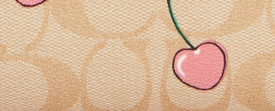 MEDIUM CORNER ZIP WALLET IN SIGNATURE CANVAS WITH HEART CHERRY PRINT