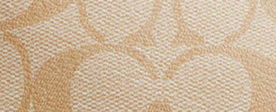 LUNAR NEW YEAR TERI SHOULDER BAG IN SIGNATURE CANVAS WITH RABBIT AND CARRIAGE