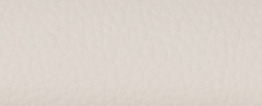 LUNAR NEW YEAR DEMPSEY TOTE 22 IN SIGNATURE CANVAS WITH RABBIT AND CARRIAGE