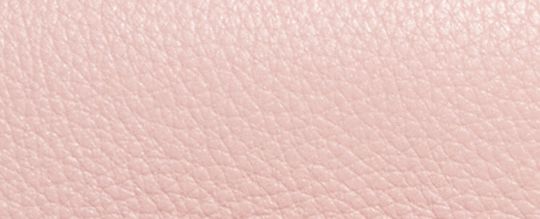 MORGAN SADDLE BAG IN SIGNATURE CANVAS