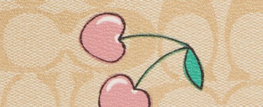 JAMIE CAMERA BAG IN SIGNATURE CANVAS WITH HEART CHERRY PRINT