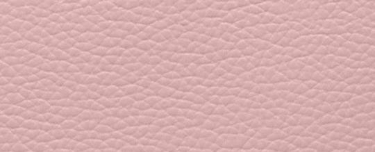 MOLLIE BUCKET 22 WITH SIGNATURE CANVAS INTERIOR