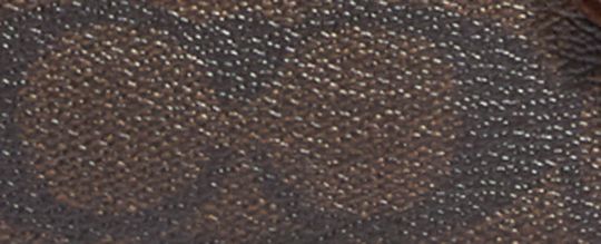 MINI JAMIE CAMERA BAG IN SIGNATURE CANVAS WITH SKI PATCHES