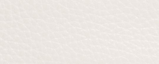 LARGE CORNER ZIP WRISTLET WITH COACH STAMP