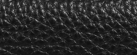 SMALL MORGAN WALLET IN COLORBLOCK SIGNATURE CANVAS WITH RIVETS