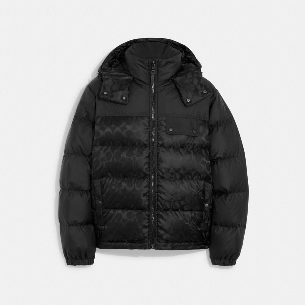 CF880 - Signature Hooded Puffer Jacket Black/ Dark Pine Sig