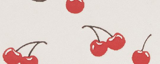 MINI SKINNY ID CASE WITH CHERRY PRINT