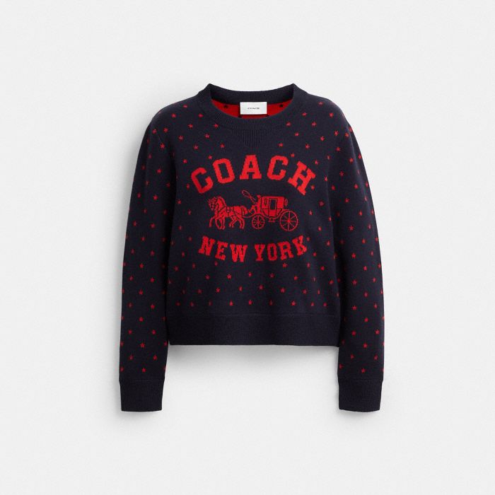 COACH 雙面圓領毛衣