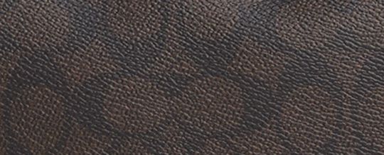LAUREL SHOULDER BAG WITH BUCKLES IN SIGNATURE CANVAS