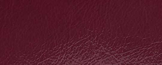 ESSENTIAL SLIM CARD CASE