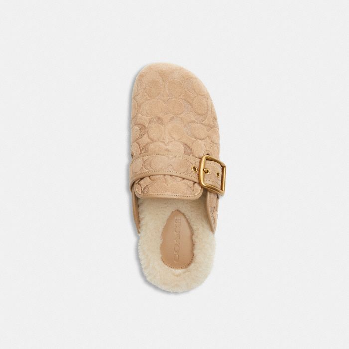 ARCHIVAL 經典 SIGNATURE 刷毛皮革 SHEARLING 扣環拖鞋