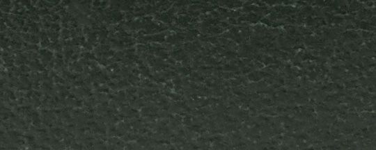 GREYSON 手錶，41毫米