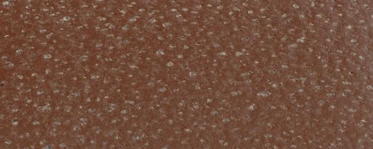 CRUISER 手錶，44毫米