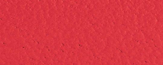 PERRY 手錶，36毫米