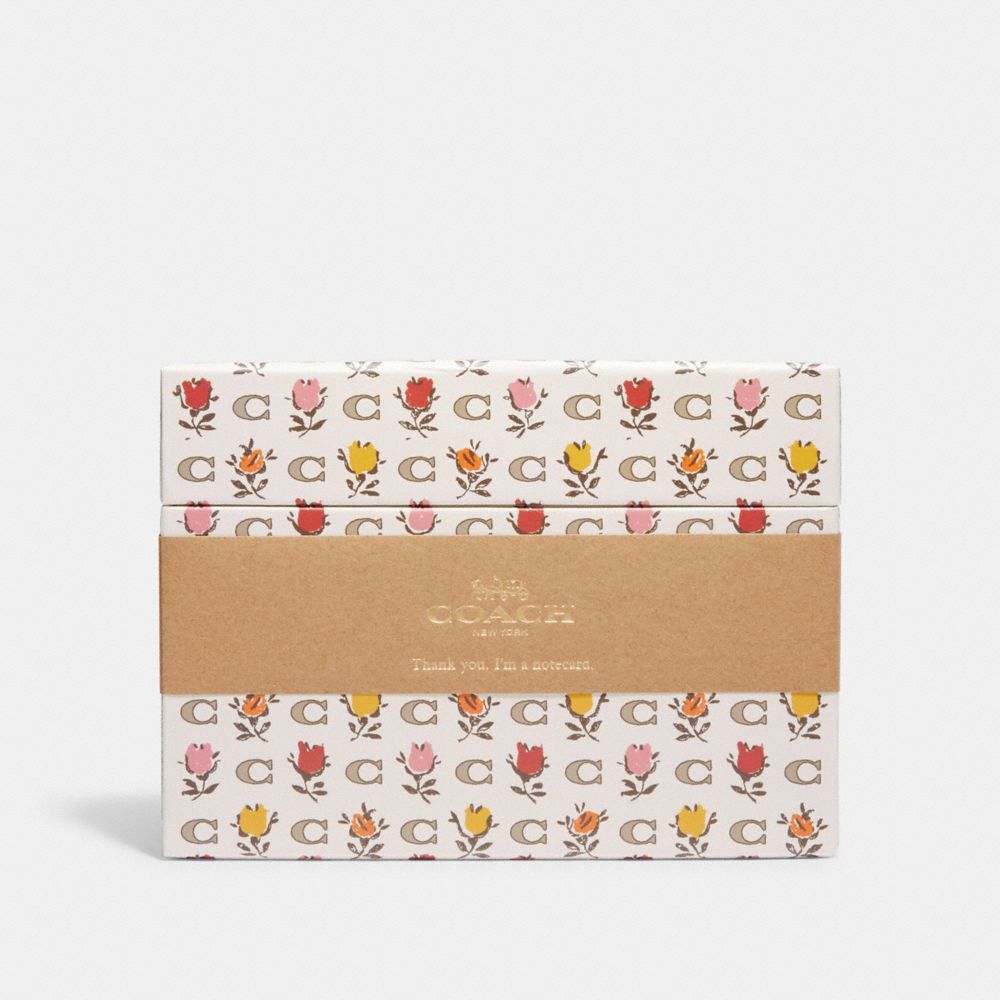 COACH CG763 Boxed Notecards With Badlands Floral Print CHALK MULTI